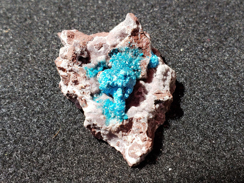 Cavansite, Poona, India. #1105191sl
