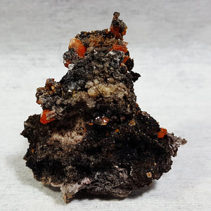 Wulfenite from Red Cloud Mine, La Paz County, Arizona. Stock #462sl