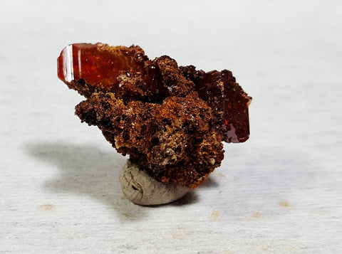 Wulfenite from Red Cloud Mine, La Paz County, Arizona. Stock #464sl