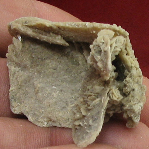 Gypsum