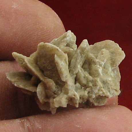 Gypsum