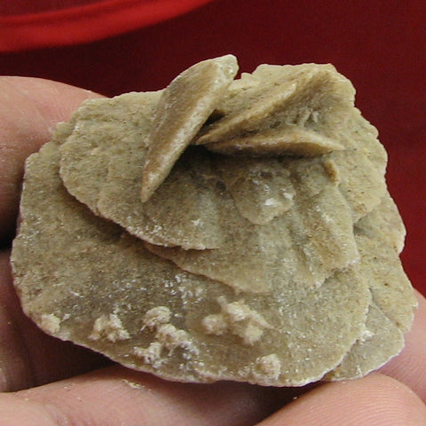 Gypsum