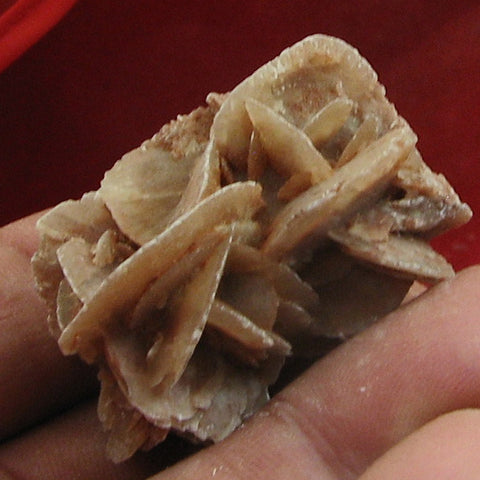 Gypsum