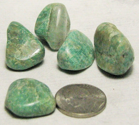 Amazonite, 5 Tumbled