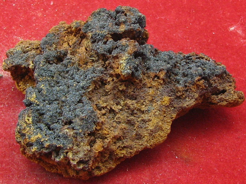 Plattnerite