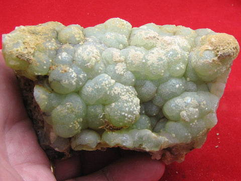 Prehnite from Namibia. 9.6 cm #431