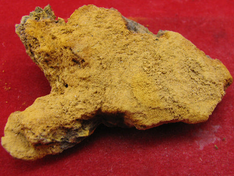 Bermanite