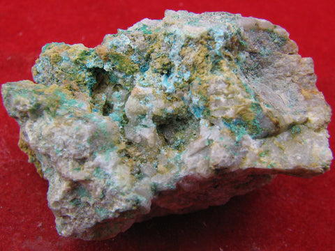 Posnjakite,Devilline