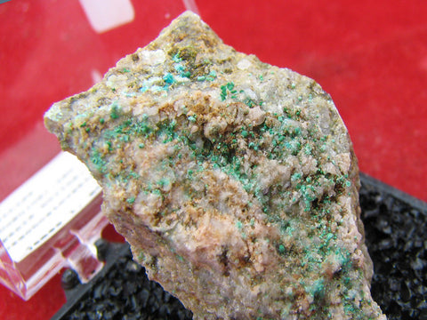 Devilline #4018