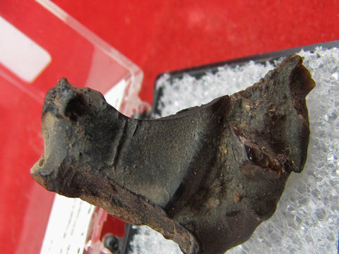 Ozocerite