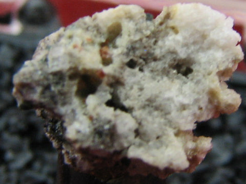 Roedderite