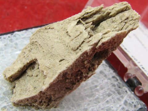 Thinolite