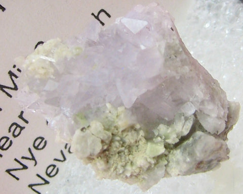 Creedite