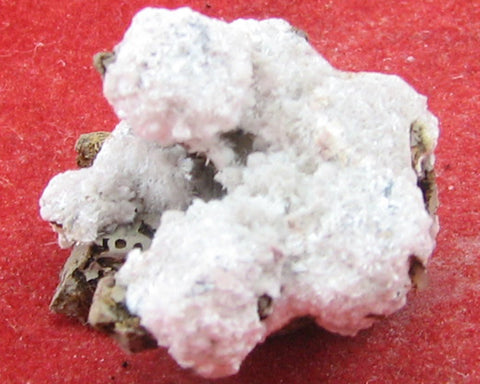 Oyelite 2.4 cm $4895