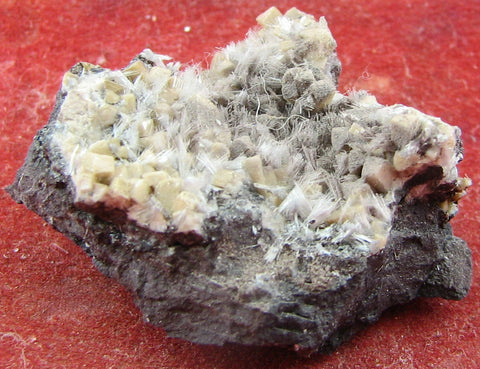 Bultfonteinite,and,Poldervaartite