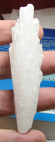 Scolecite