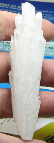 Scolecite