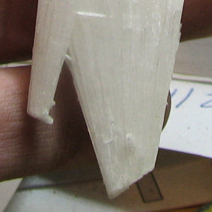Scolecite