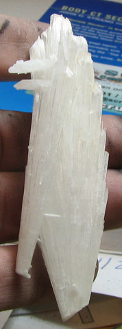 Scolecite