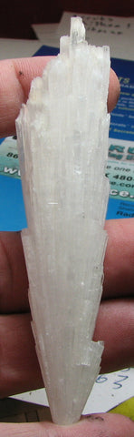 Scolecite