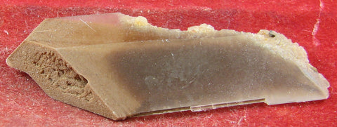 Selenite