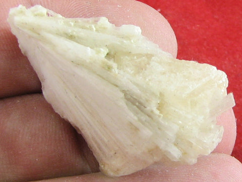 Powellite