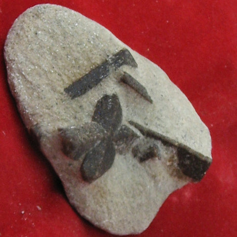 Staurolite