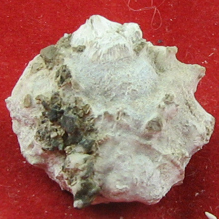 Pectolite