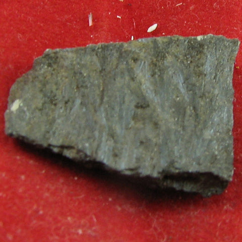 Ludwigite