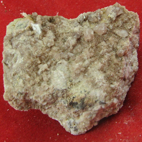 Chondrodite