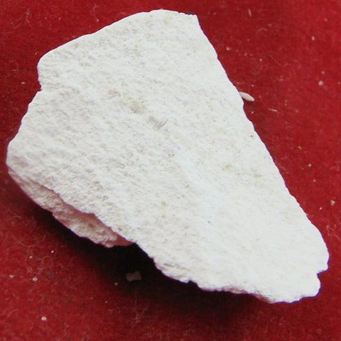 Portlandite