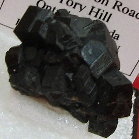Fluororichterite