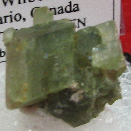Tremolite