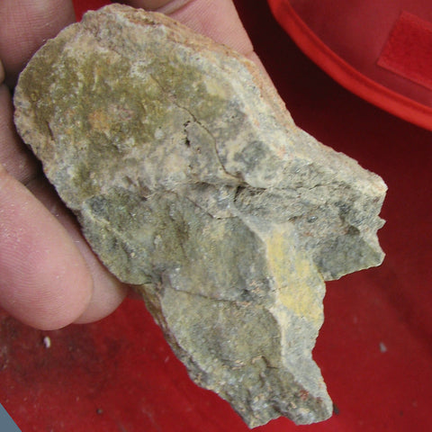 Kasolite