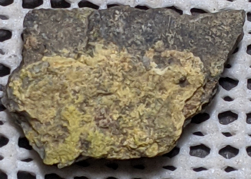 Pottsite, Clinobisvante, Rare Type Locality Mineral.  4cm # 3015