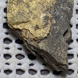 Pottsite, Clinobisvante, Rare Type Locality Mineral.  4cm # 3015
