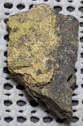 Pottsite, Clinobisvante, Rare Type Locality Mineral.  4cm # 3015