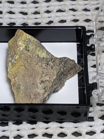 Pottsite, Clinobisvante, Rare Type Locality Mineral.  3 cm # 3024