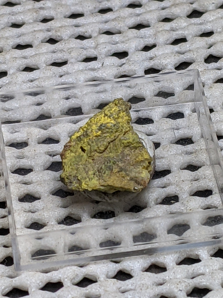 Pottsite, Clinobisvante, Rare Type Locality Mineral.  1.6 cm # 3027
