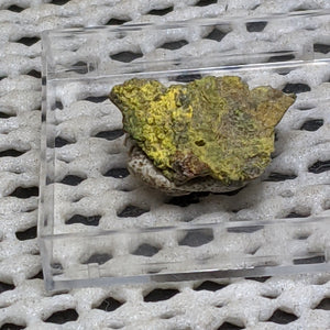 Pottsite, Clinobisvante, Rare Type Locality Mineral.  1.6 cm # 3027