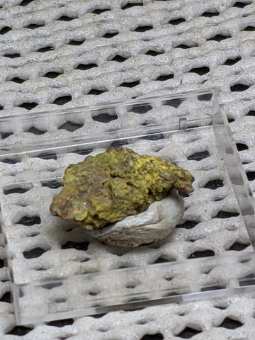 Pottsite, Clinobisvante, Rare Type Locality Mineral.  1.6 cm # 3027