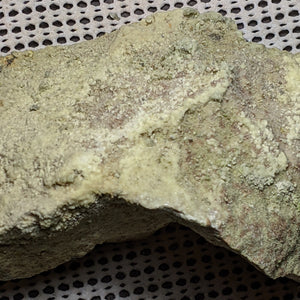 Dickthomssenite from Vanadium Queen Mine, Utah. 121 cm #537