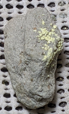 Dickthomssenite from Vanadium Queen Mine, Utah. 4 cm #543