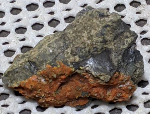 Lasalite, Type Locality, Vanadium Queen Mine, Utah. 3.5 cm #818