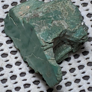 Chromium Petrified Wood from Winslow Arizona. 4.2 cm #127