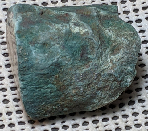 Green Petrified Wood from Oregon. 5.4 cm #128