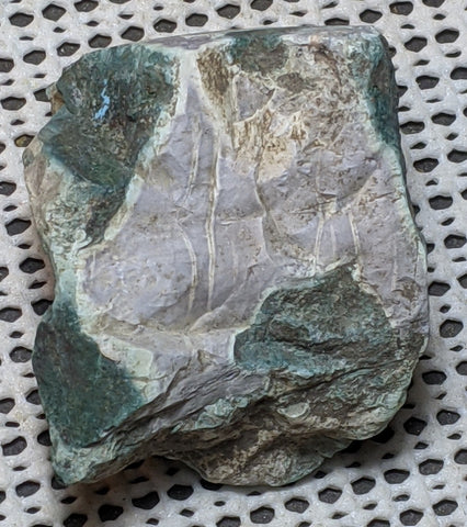 Green Petrified Wood from Oregon. 5.4 cm #128