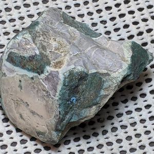 Green Petrified Wood from Oregon. 5.4 cm #128