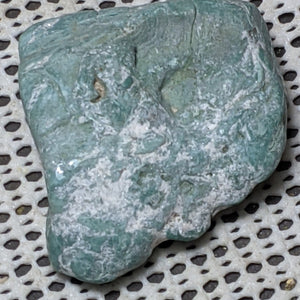 Green Petrified Wood from Oregon. 6.1 cm #129