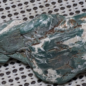 Green Petrified Wood from Oregon. 9.8 cm #130